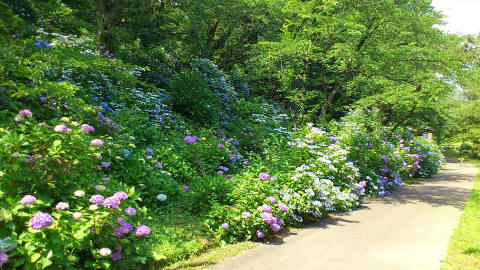 b0147224_17271319.jpg