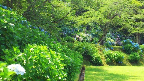 b0147224_1727501.jpg