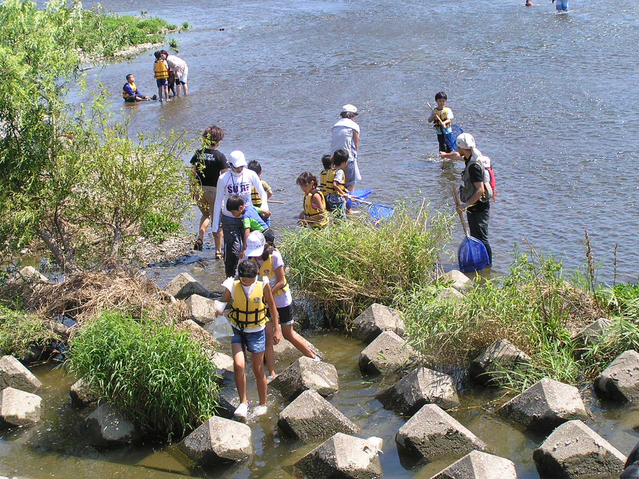（2012年夏）多摩川での川遊びが始まります。_c0120851_18543585.jpg