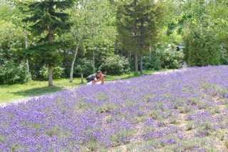 【Lavender】そうだ、富良野へ行こう！_f0077051_146309.jpg