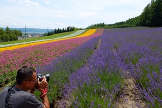 【Lavender】そうだ、富良野へ行こう！_f0077051_1484494.jpg