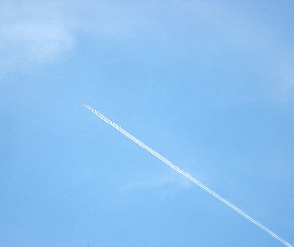 a0001354_2184990.gif