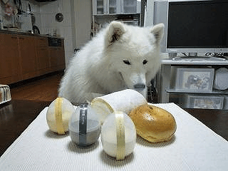 e0176159_14544672.gif
