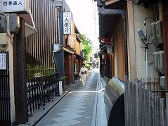 e0041168_85931.jpg