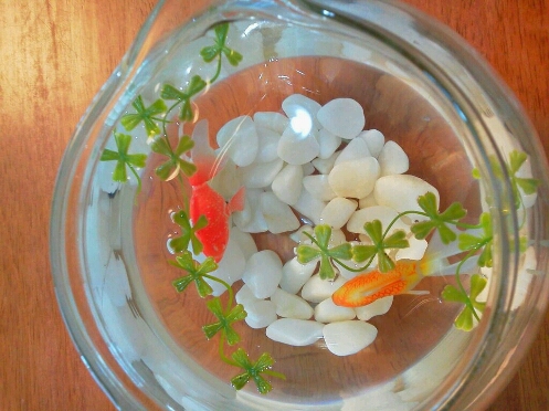 涼しげ 金魚 骨董生活