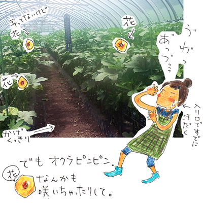 f0236291_2061677.gif