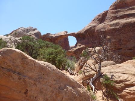 b0101096_043721.jpg