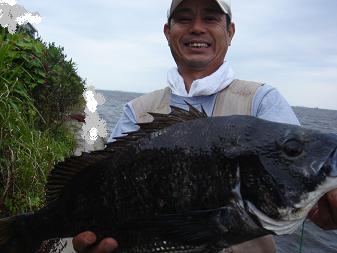 Amazon | 黒鯛工房(Kurodaikoubou) 黒鯛師 THE ヘチ SELECTION