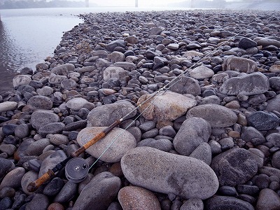 d0166900_1833563.jpg