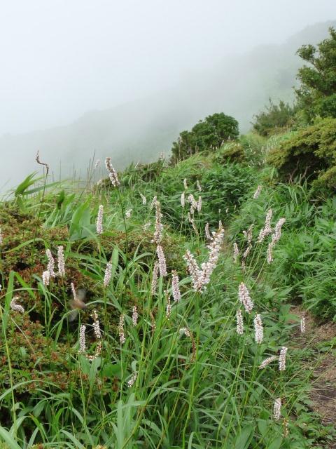 合頭山、猟師山_b0025101_581997.jpg