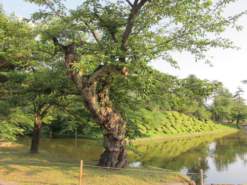 松岬公園へ愛車アビオスで（３）_c0075701_7411540.jpg