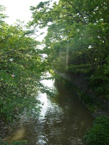d0217110_224768.jpg