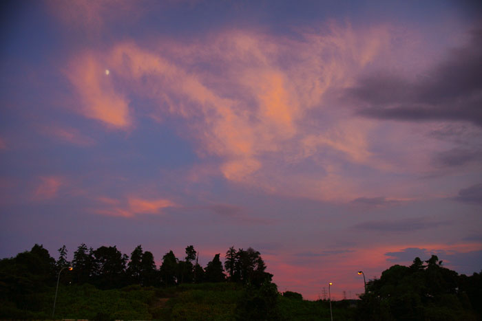 夕焼けの欠片_e0077521_2138928.jpg