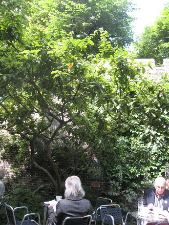 f0166824_0181439.jpg