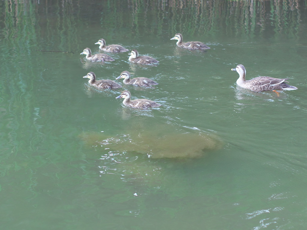 b0093625_10363943.jpg
