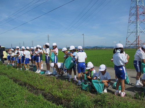暑い中大豆の草取りです。_e0061225_17194443.jpg