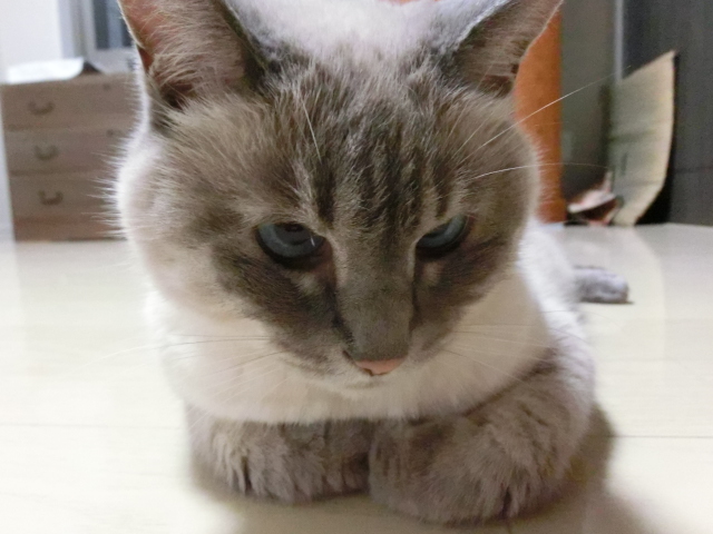お外にクーラー?_c0006826_18124544.jpg