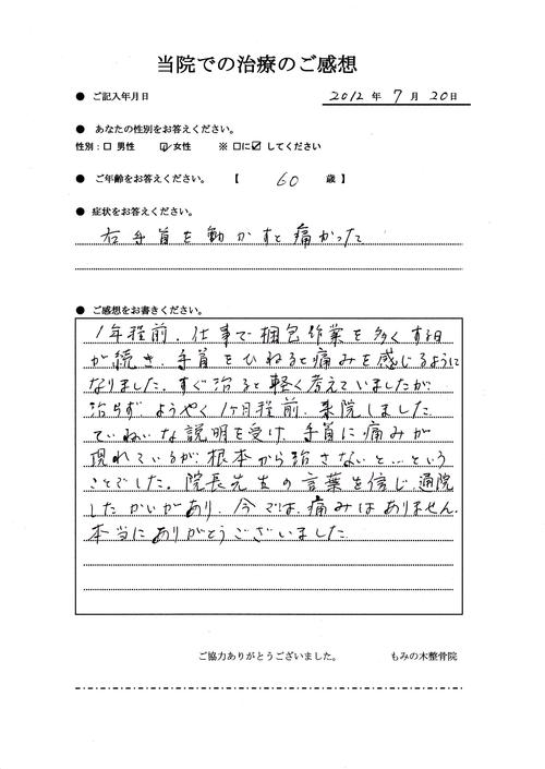 手首の痛み(ご感想)_a0070928_21263782.jpg