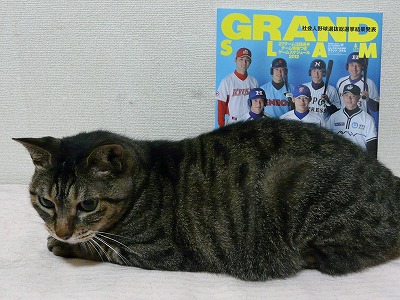 鹿沼がんばれ、でないと予想外れる~!byバキ_b0166128_0245376.jpg