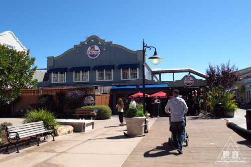 244 Monterey Bay Aquarium ~モントレーベイ水族館~_c0211532_1726790.jpg