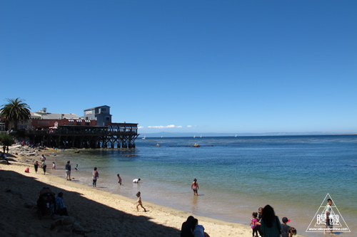 244 Monterey Bay Aquarium ～モントレーベイ水族館～_c0211532_2356348.jpg