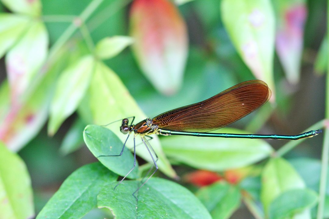 c0172139_1491526.jpg
