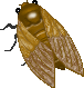 a0216142_23351562.gif