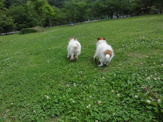 今年の梅雨を振り返ると_c0156345_202719.jpg