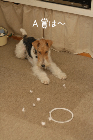 c0136547_225212100.gif
