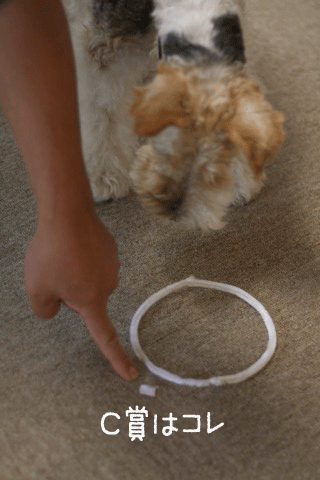 c0136547_22533723.gif