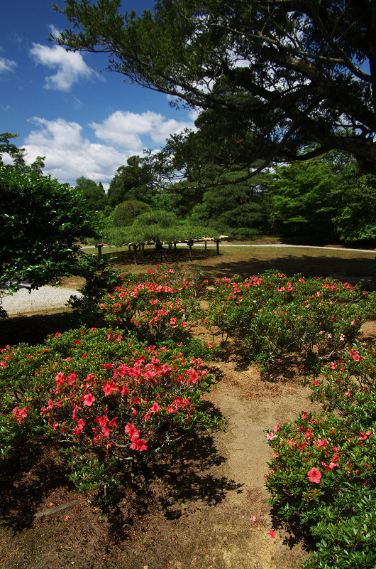 初夏の修学院離宮（中離宮編）_f0155048_231355.jpg