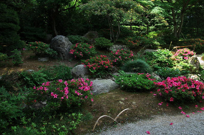 初夏の修学院離宮（中離宮編）_f0155048_2321057.jpg