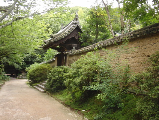 青春18きっぷの旅・奈良　唐招提寺_d0138650_2232714.jpg