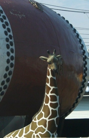 e0126350_0555564.jpg
