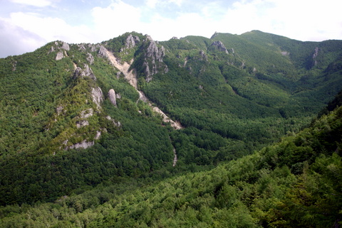 a0122673_0201581.jpg