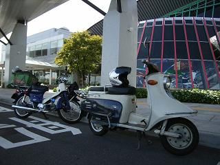 a0064474_8173499.jpg