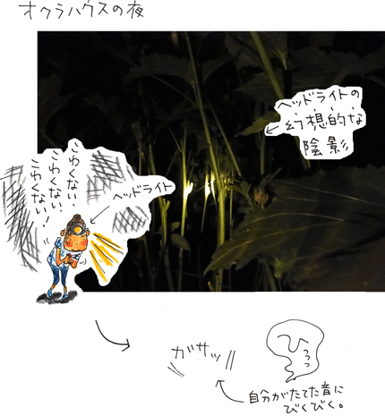f0236291_23524912.gif