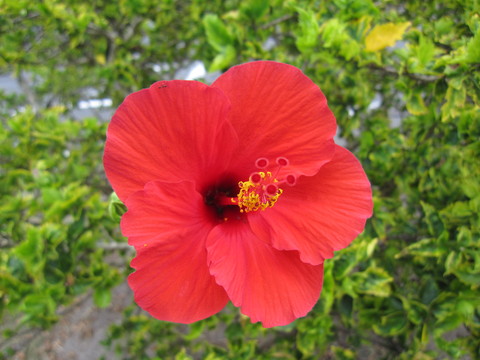 f0153998_23352345.jpg