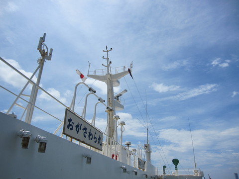 f0153998_23391823.jpg