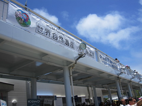f0153998_23403615.jpg
