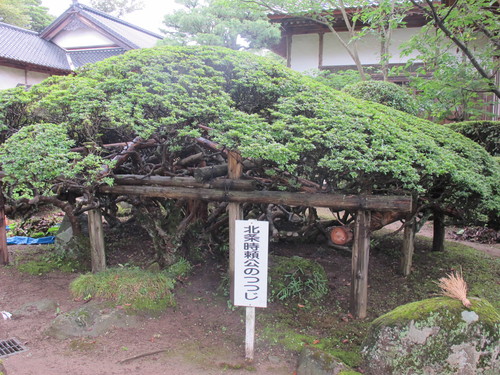 象潟蚶満寺（きさかたかんまんじ）　５_c0075701_219625.jpg