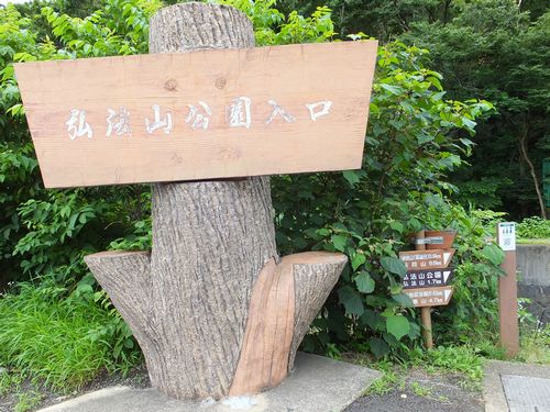 秦野「弘法山」へ向けてハイキングを超えた山登り_f0120102_6405238.jpg