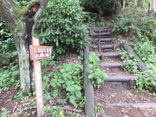 秦野「弘法山」へ向けてハイキングを超えた山登り_f0120102_6434567.jpg