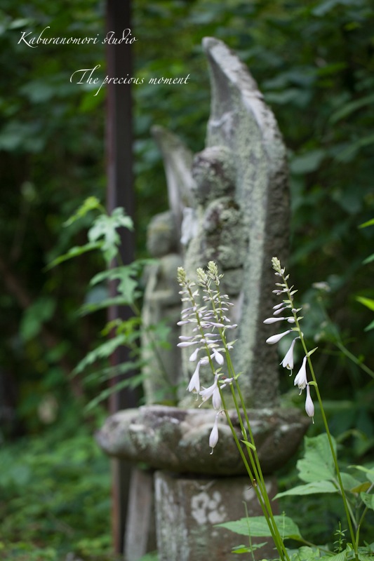 しっとり石仏とあじさい_c0137403_19171268.jpg