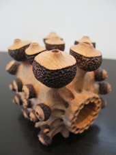 週末は、藤沼哲新作展へ! _c0218903_8383136.jpg