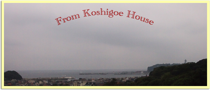 KOSHIGOEお家ショップ　♪♪海を眺めながら打ち合わせ♪♪_d0154507_13515397.jpg