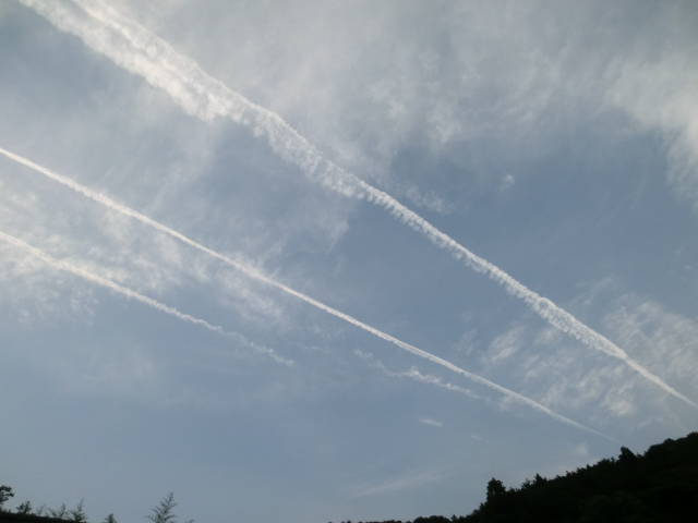 d0237309_22274985.jpg