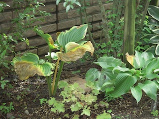 e0271409_16384412.jpg