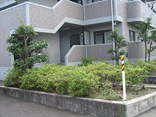 とうとう暑い夏が…_e0238112_1550677.jpg