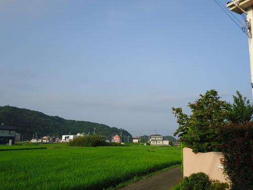 晴れています?_a0093423_791936.jpg